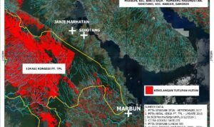 Peta wialyah terdampak banjir