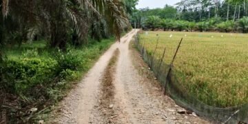 Cabjari Brandan Terima Laporan Dugaan Korupsi DD Halaban Rp 1 Miliar Lebih