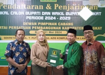Aini Maimanah Kembalikan Berkas Balon Bupati Langkat ke PPP