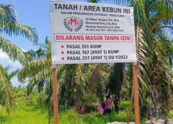 LBH Medan Desak Kapolda Sumut Tangkap Perambah Hutan Lindung Kwala Langkat