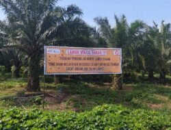 Asset PTPN II Beralih Ke Mafia Tanah, Lepan Sumut : Aparat Harus Segera Bertindak