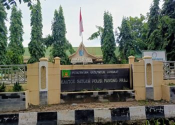 Tak Masuk Formasi PPPK Tahun 2024, Damkar Langkat Merasa Dianaktirikan