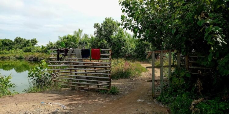 Miris!!! Cabup di Langkat Tak Beri Akses Warga Lintasi Tambak