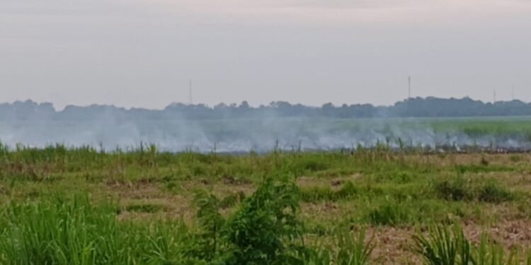 Karhutla di Areal Kebun Tebu SGN Kwala Madu, Pengguna Ruas Tol Binjai-Langsa Terganggu