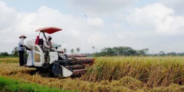 Gawat!!! Dugaan Pungli Penyaluran Alsintan di Langkat Resahkan Petani