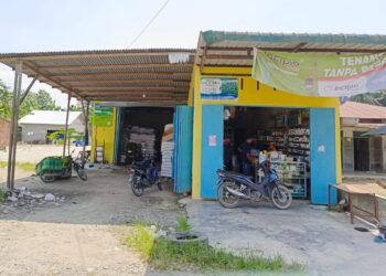 PUSKUD Sumut Kecam Kios Pengecer Pupuk Subsidi di Atas HET