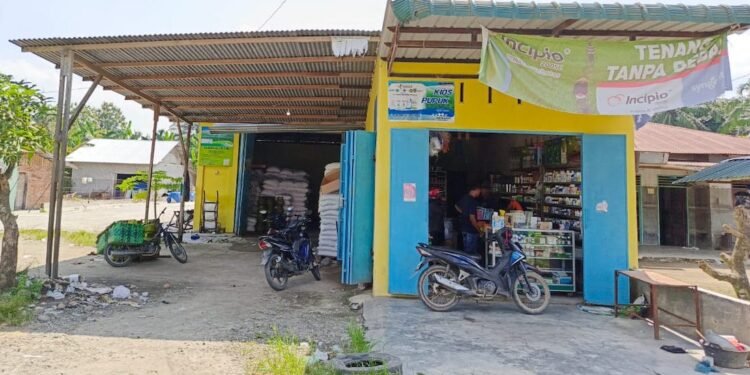 PUSKUD Sumut Kecam Kios Pengecer Pupuk Subsidi di Atas HET