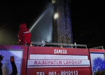 Tim Damkar Langkat Basmi Belasan Sarang Lebah di Tugu T Ami Hamzah