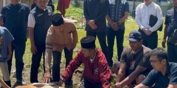 Idul Adha 1446 H : NasDem Sumut Tunaikan Qurban, 3 Ekor Sapi untuk Masyarakat