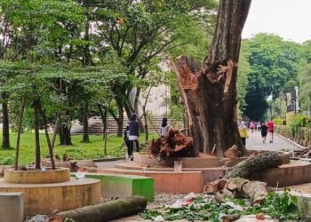 Kayu Patah di Alun-alun Stabat Telan Korban Jiwa, Warga: Copot Kadis LH Langkat