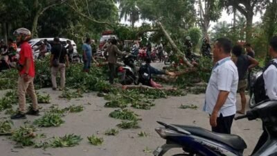 Batang Pohon Timpa Warga Lagi, DPRD Langkat Segera Panggil Bupati