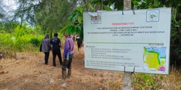 Dibackingi Aparat, Korporasi Sawit Ilegal Gencar Rambah Kawasan HKM Poktan Nipah