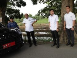 “Jangan Tunggu Korban Lagi: DPRD Sumut Desak Pemkab Langkat Segera Remajakan Pohon Tua”