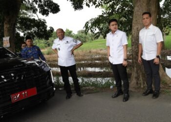 “Jangan Tunggu Korban Lagi: DPRD Sumut Desak Pemkab Langkat Segera Remajakan Pohon Tua”