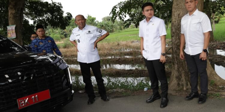 “Jangan Tunggu Korban Lagi: DPRD Sumut Desak Pemkab Langkat Segera Remajakan Pohon Tua”