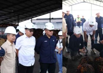 Danantara: Transformasi PalmCo Dinilai Perkuat Kemandirian Pangan dan Energi Nasional