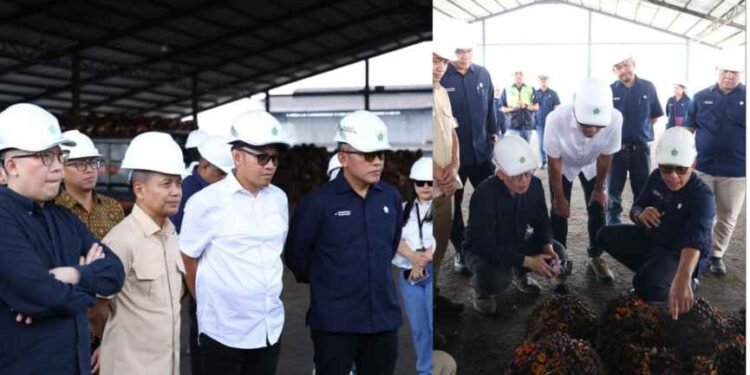 Danantara: Transformasi PalmCo Dinilai Perkuat Kemandirian Pangan dan Energi Nasional