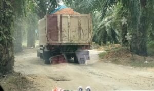Trik pengangkut material galain C yang diduga ilegal di Kelurahan Bingai, Kecamatan Wampu, Langkat saat melintasi perkebunan PT LNK